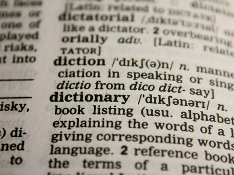 [Essay] From Linguistics to Humanities (Research Fellow Dr. Masaki Yamaoka)