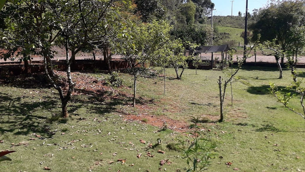 0f5b79b2-1db8-4280-81f9-bce6dd8fd852 (1)