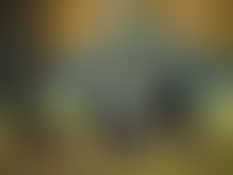 Actualizaciones Rápidas de El Boletín Ecuador