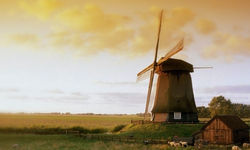 Development of web-site