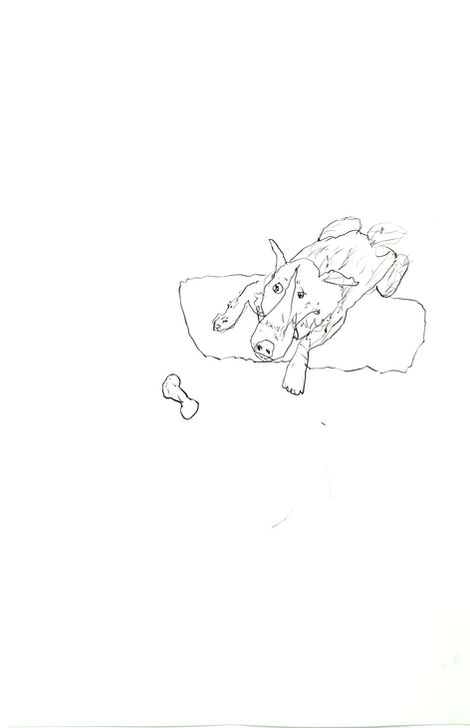 The many faces of Hamish