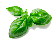 feuille.png