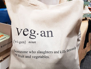 Irish Vegan Festival Belfast