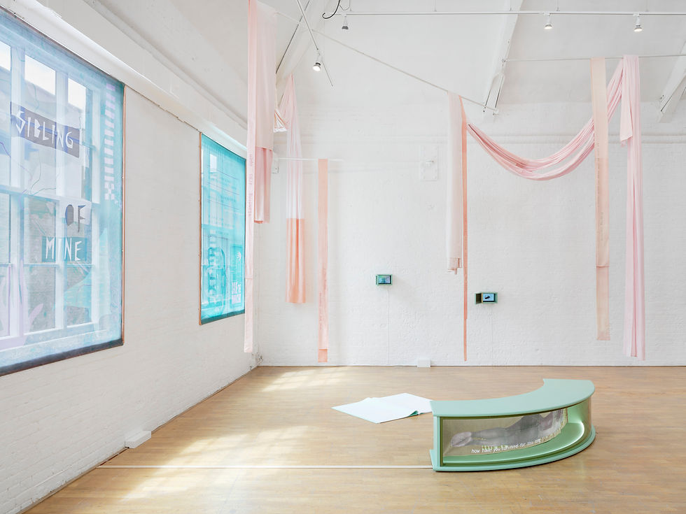 Boundary Encounters installation (19) (2000px)