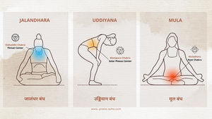 The Synergy of Bandhas and Chakras in Yoga