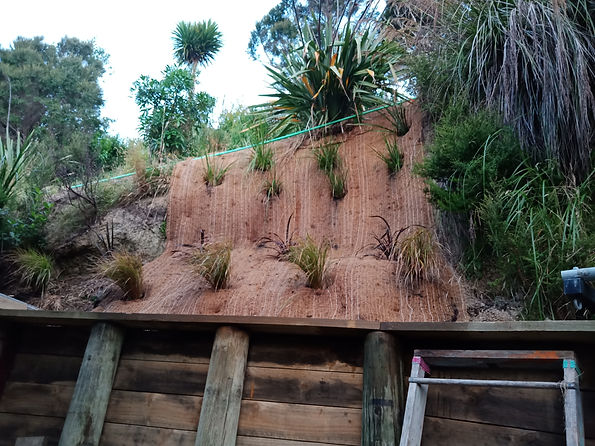 bank with geotextile.jpg