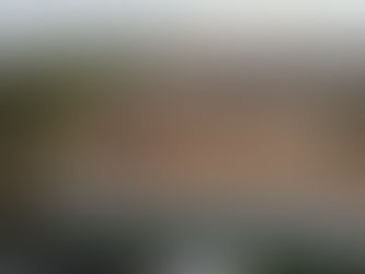 The forest next to me