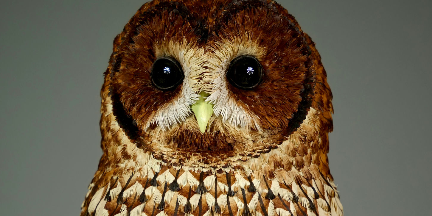 Paper sculpture of a tawny owl sat on a branch