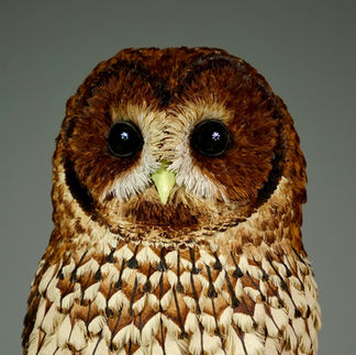 Paper sculpture of a tawny owl sat on a branch