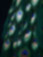 01001974.JPG