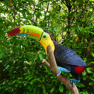 Paper sculpture of a keel-billed toucan