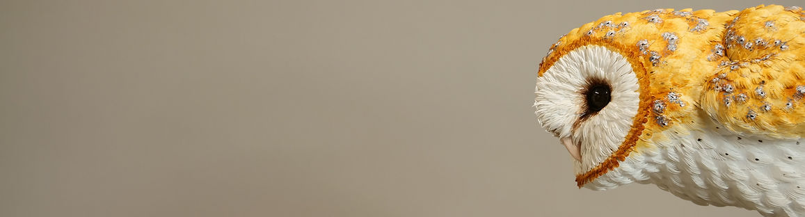 11002596.JPG