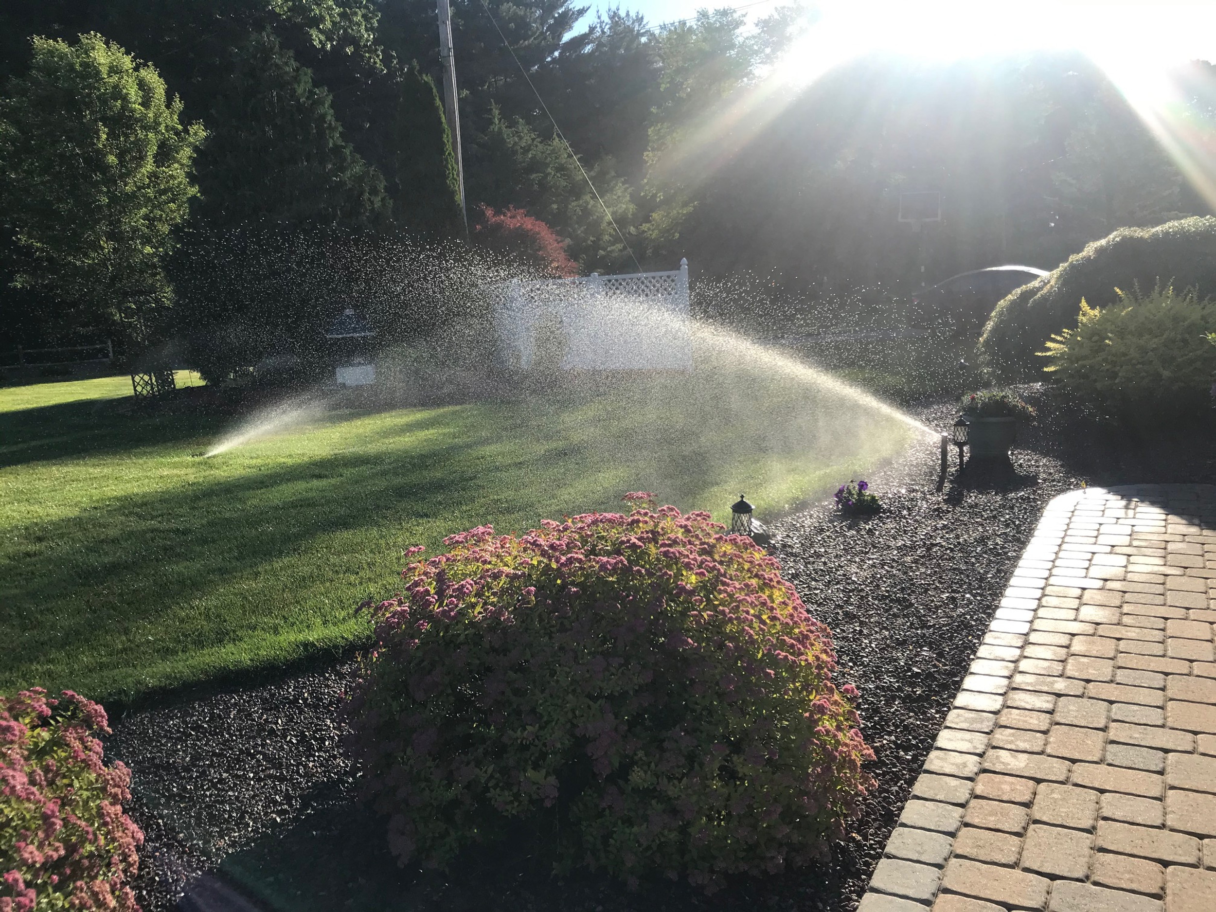 Greengrassirrigationinc
