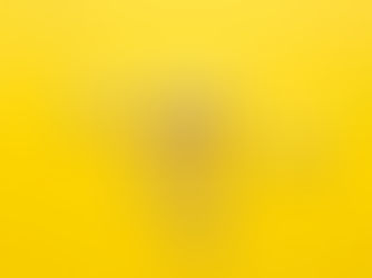 A Liderança Empreendedora -
O significado da liderança