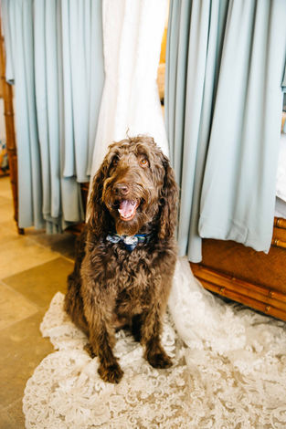 30A Wedding Photographer | Santa Rosa Beach, Florida Wedding Photographer