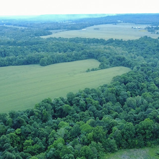 Kentucky Trophy Deer Hunting