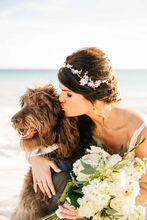 30A Wedding Photographer | 30A Wedding Photographer | Santa Rosa Beach, Florida Wedding Photographer Florida Wedding Photographer