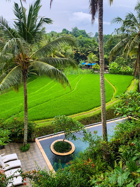 Riversuite Swimming Pool.jpeg