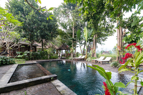 Swimming Pool.jpeg