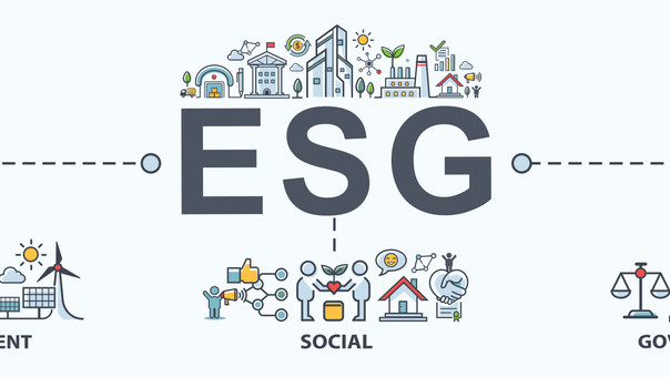 Using ESG to Reduce the Risk in Your Supply Chain