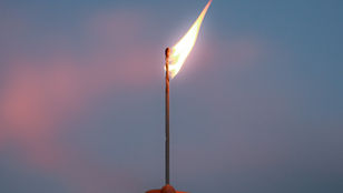 How to Sell Without Selling: Understanding the Power of Showcasing Value