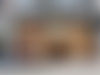 Netherlands: Dutch discount non-food chain Wibra performs all time high sales and profit