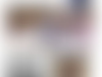 Belgium: DRC's pioneering Value-Driven Strategies in Emerging Markets