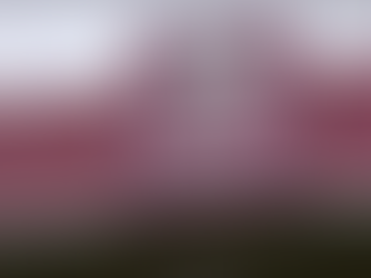 Philippines: Private Equity majors said to invest in DALI