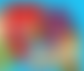 USA: Aldi US trims its own brands, prints name on all private label packaging