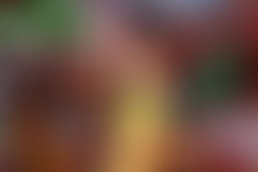 Highs and lows of Malaysia in Rio Olympics