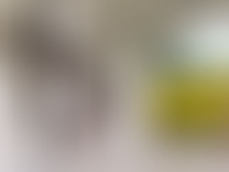 La pintura contemporánea cubana y las dificultades para nuevas taxonomÃas