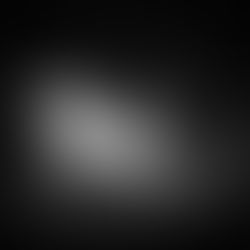 monochrome motion