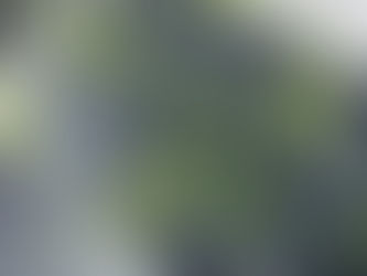 Printing the Future: Insights into Micro- and Nanostructure Innovation