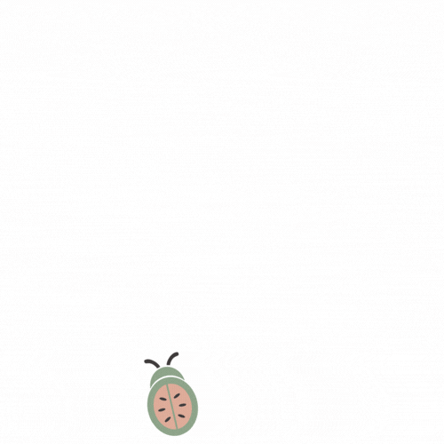 melonbug logo animation white.gif