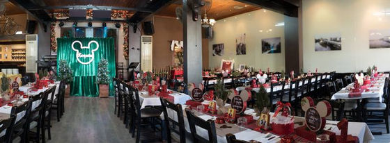 Christmas festive christening