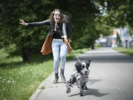 How To Start Having Calmer Walks With Your Dog