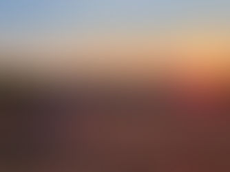 A night in ‘The Rough’