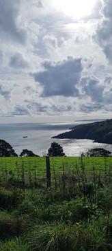 Wild Camping in Devon view of the coast