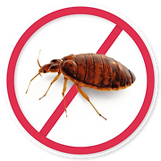 FUMIGACIONES CHINCHES