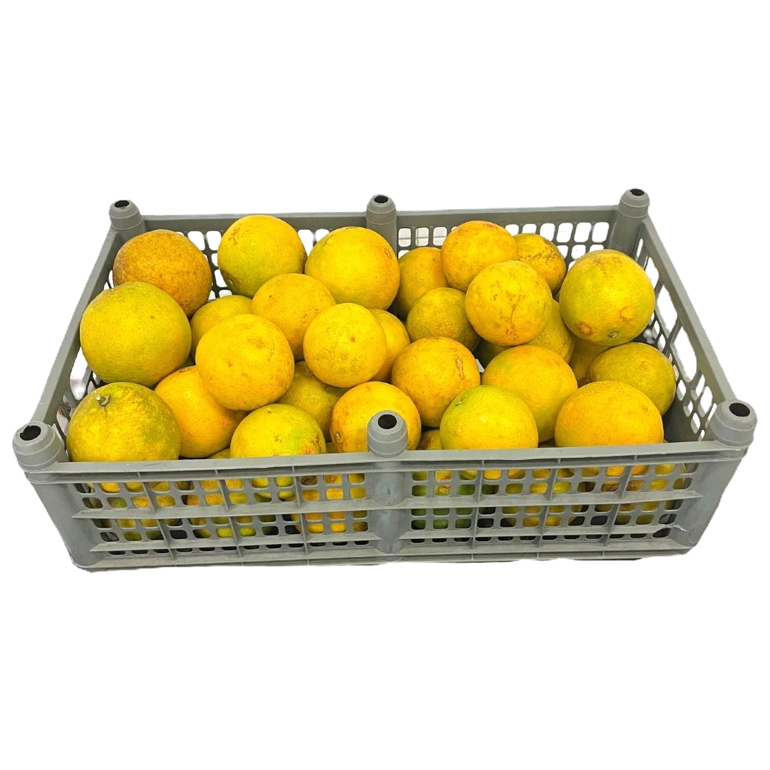Caja de Naranja Dulce 25kg