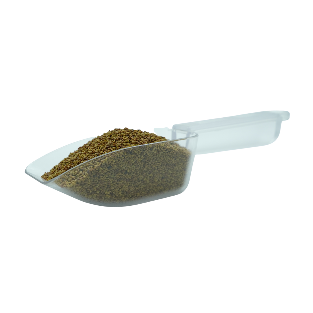 Semilla de Alfalfa 100gr