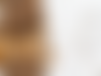 Termite Inspections: Beyond The Surface - "Detecting Hidden Infestations"