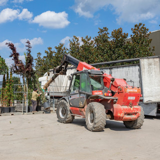 WhatsApp Image 2019-07-12 at 18.40.42.jp