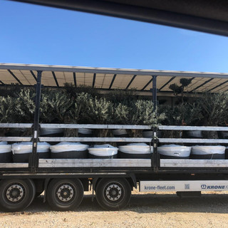 WhatsApp Image 2019-08-14 at 11.07.36 (4