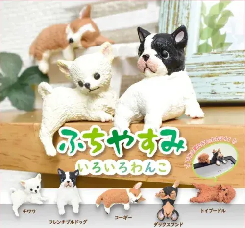 Resting Doggy Blind Box