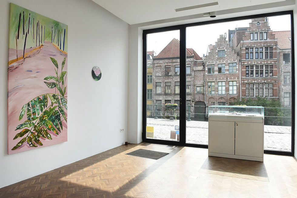 expoView-Cecilia-Jaime-Gallery-Gardens-Solo-Show-Cecilia-Jaime-Gent-24.jpg