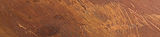 BRONZE-TEXTURE_edited.jpg