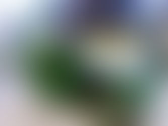 Flushing Bay Promenade