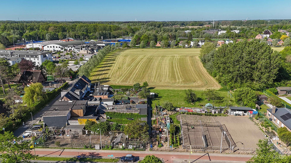 Panoramazicht van 2 mei 2026 met links de Terelststraat en de 10 huizen waarvan drie met een plat dak. De kenmerkende lange tuinen zijn er niet meer (collectie Marc Daemen).