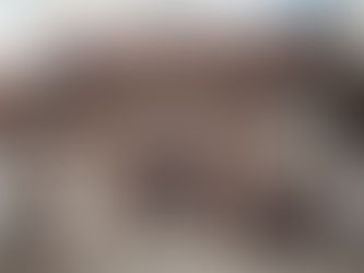 Naar een levendig historisch Edegems archief